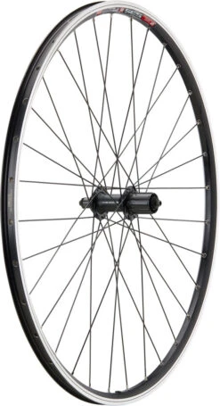 Urban Acera V-Brake DT Swiss 535 28" Laufradsatz -Shimano Verkäufe 396792